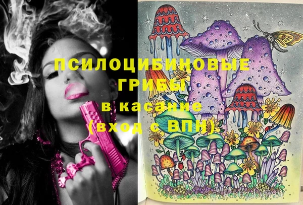 мяу мяу мука Касимов
